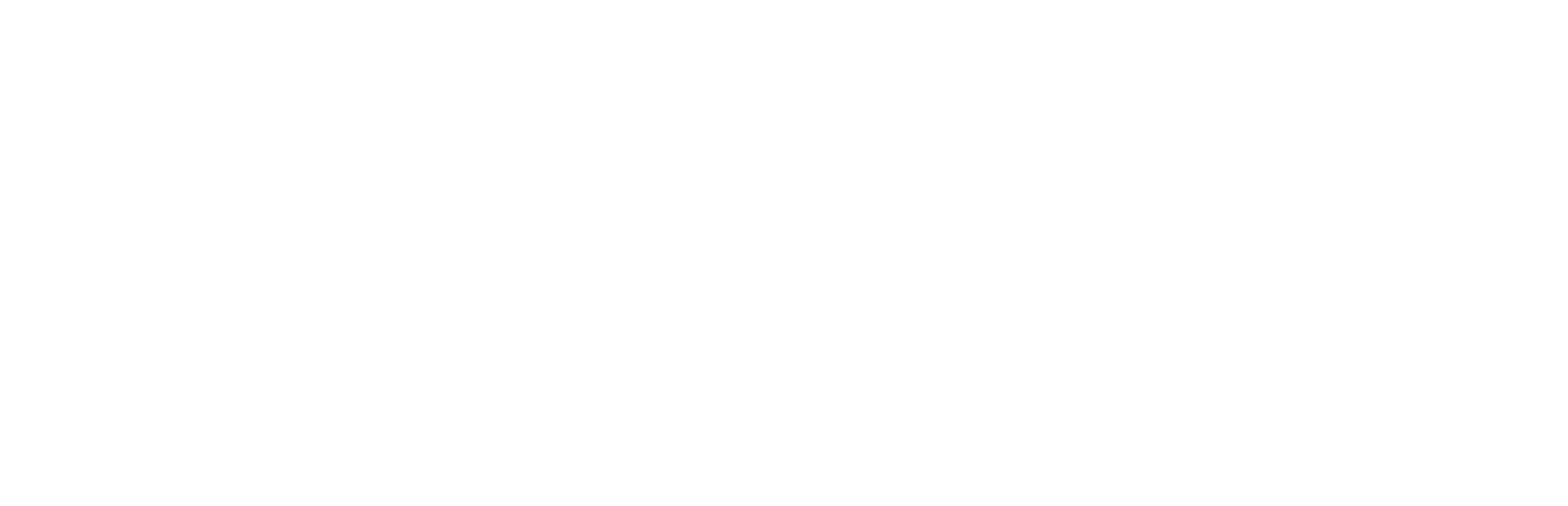 Business Turku